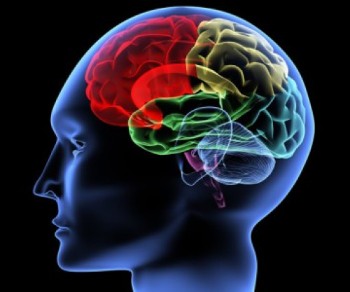 BBC: A po e dëmton A.I. aftësinë tuaj të të menduarit?