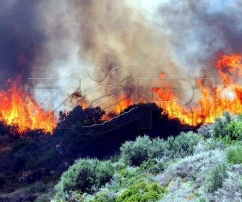 AME: Mbi 15 mijë intervenime gjatë vitit 2025, rritje e ndjeshme e zjarreve krahasuar me vitin paraprak