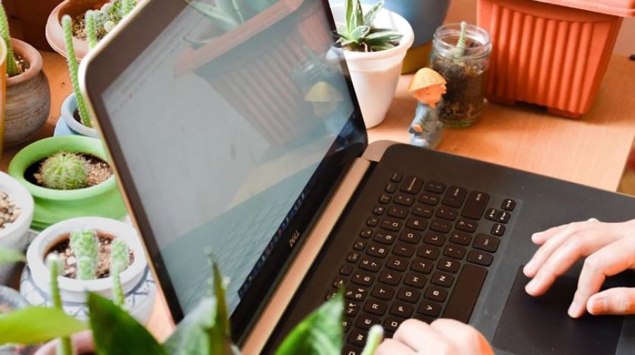 Viti 2025 ishte viti kur IA u bë pjesë e zakonshme