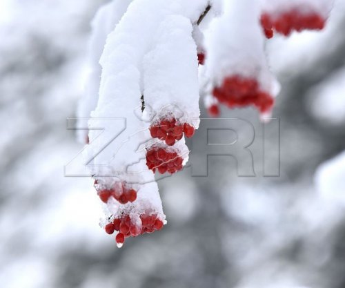 Ulen temperaturat, Kurti u bën thirrje qytetarëve për kujdes