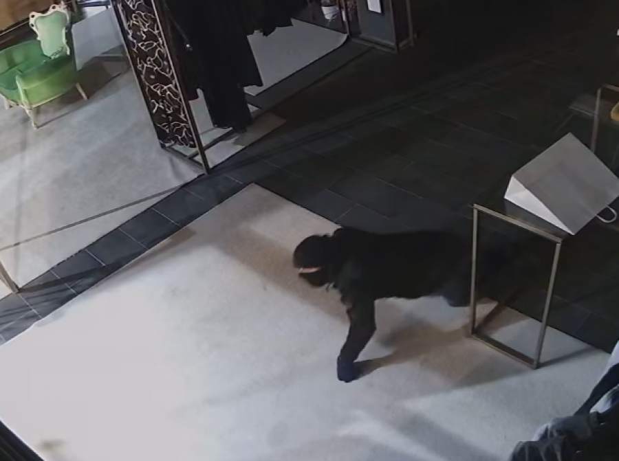 Hajnat hyjnë në lokalin e disenjatores Blerina Kllokoqi-Rugova, publikohen pamjet [video]