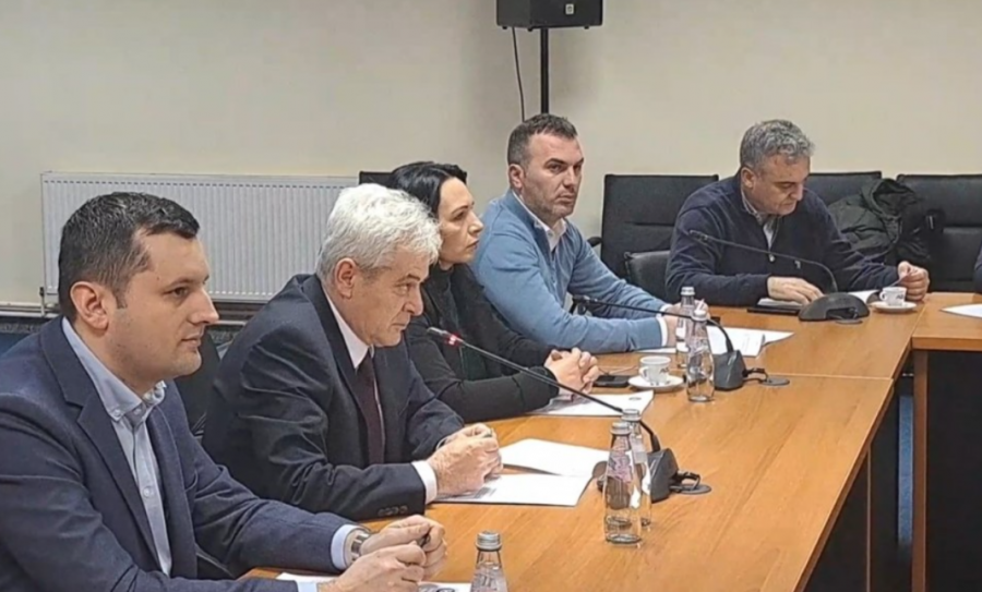 Mblidhet BDI-ja, vetingu dhe reformat në parti temë diskutimi