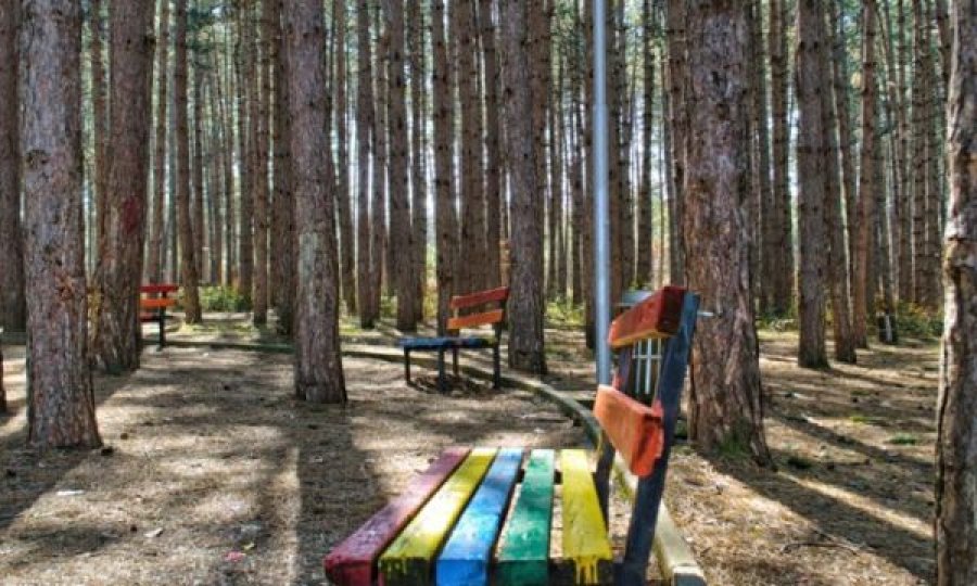 E mitura në Prishtinë raporton se një burrë bëri veprime të pahijshme para saj në park