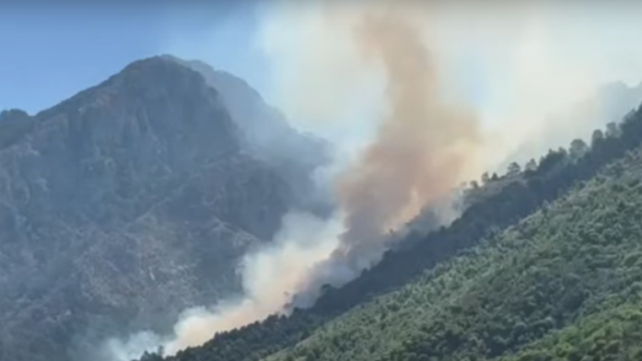 Zjarri në Dukat rrezikon Parkun Kombëtar të Llogarasë, kërkohet ndërhyrje nga ajri