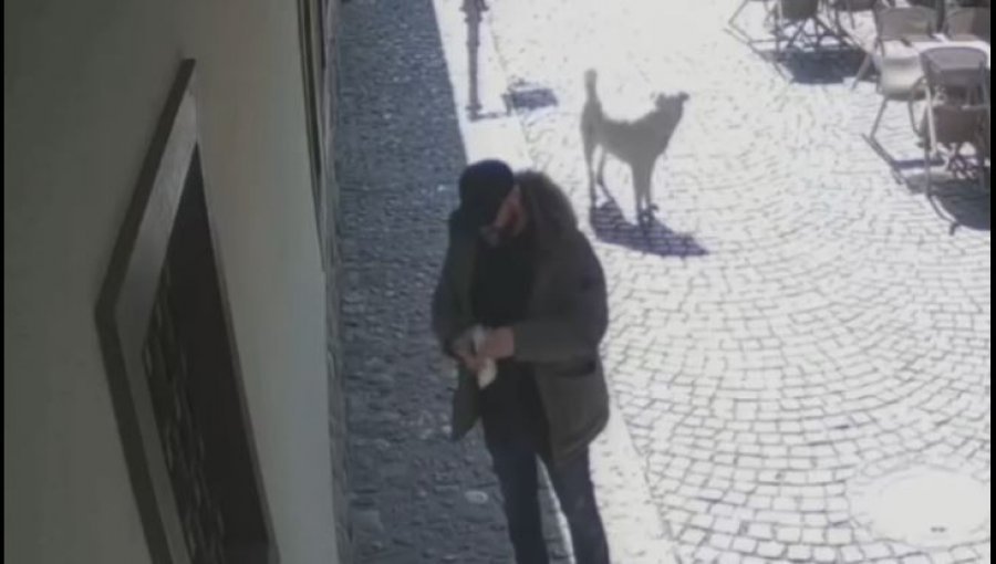 Grisja e Kuranit në Prizren, Policia nis hetimet