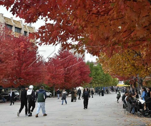 Parashikimi i motit për ditën e nesërme