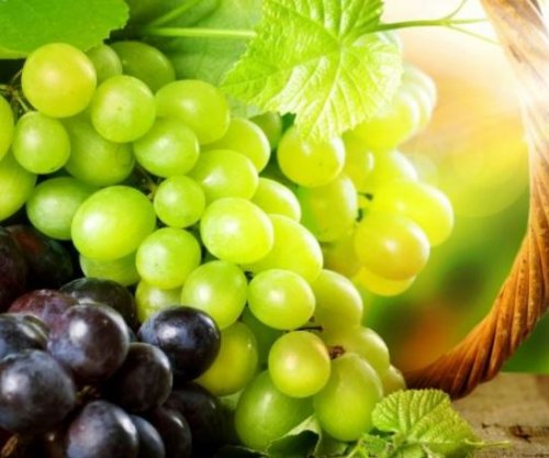 Rrushi lufton rrudhat kundër plakjes