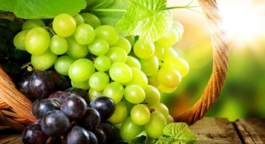 Rrushi lufton rrudhat kundër plakjes