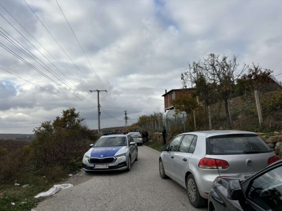 I dyshuari për vrasjen e dyfishtë në Malishevë ishte në paraburgim për dhunë në familje
