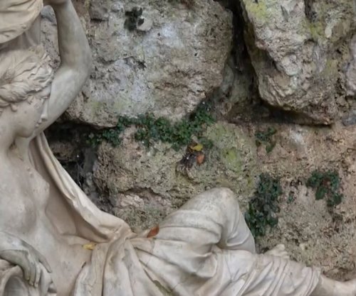 Grabitet muzeu sirian, zhduken 6 statuja të epokës romake, nisin hetimet