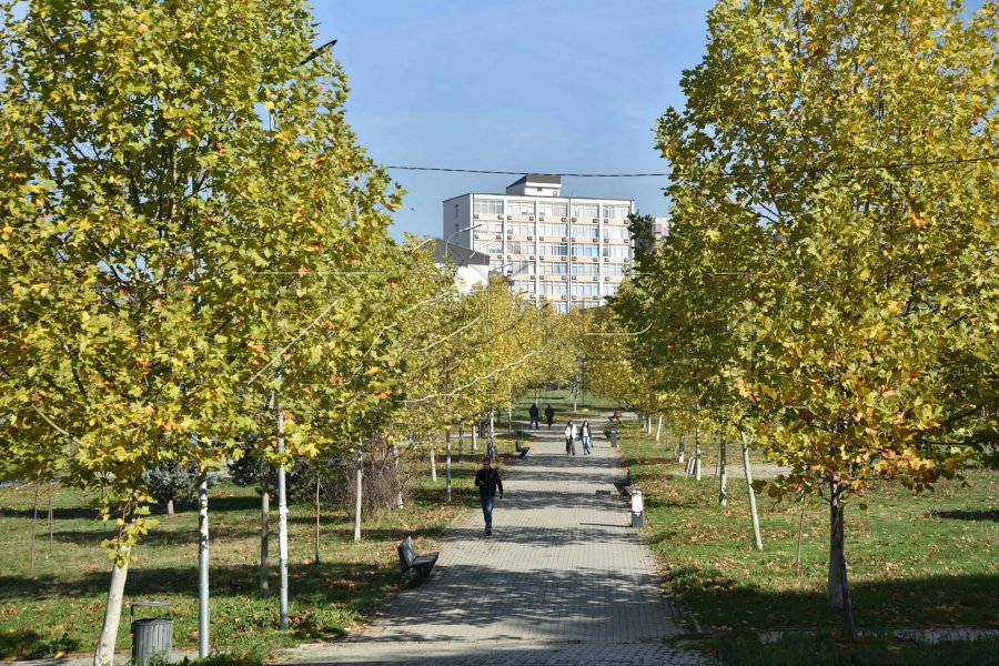 Sot, temperaturat deri në 11 gradë