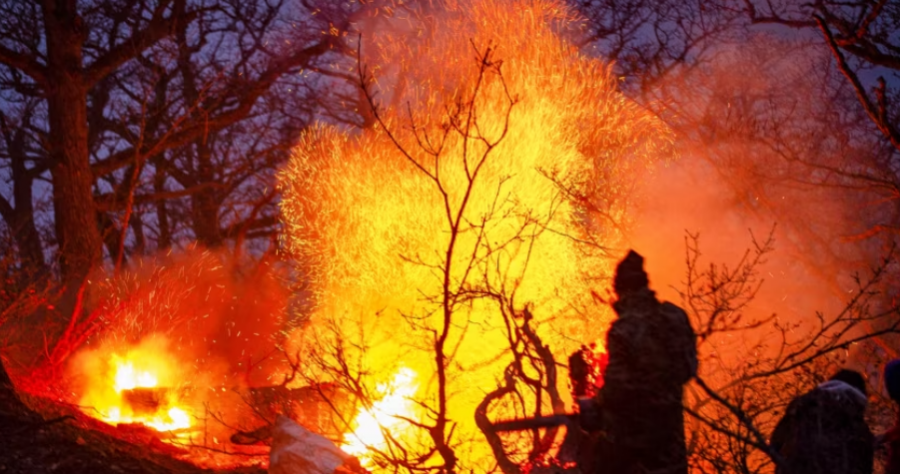 Irani kërkon ndihmë urgjente për luftimin e zjarrit në pyjet e veta antike