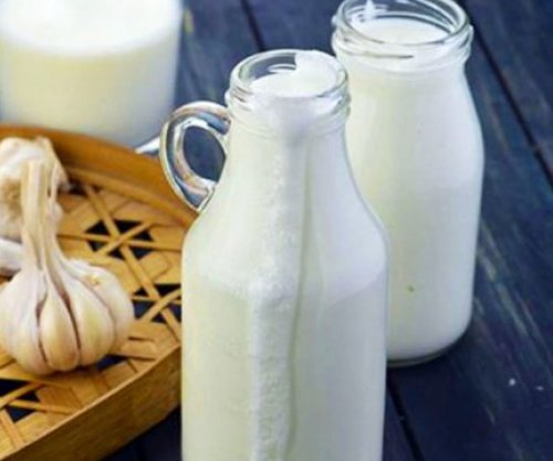 Qumësht me hudhra kundër astmës, kollës, reumatizmit 