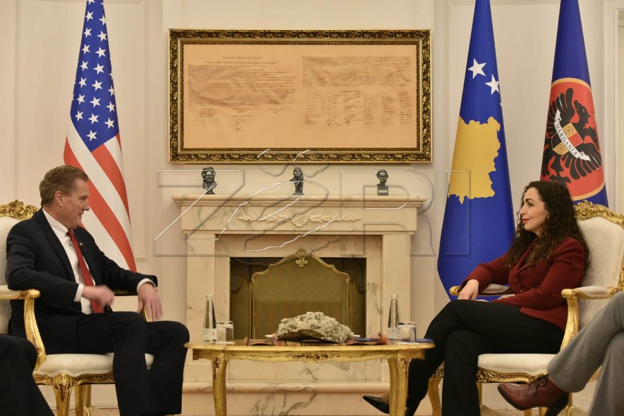 Presidentja Osmani takon një delegacion të Kongresit Amerikan