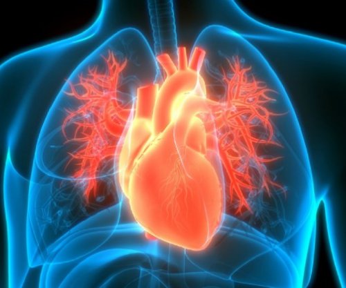 Fruti që ul rrezikun e sulmit në zemër, sasia që duhet të konsumoni