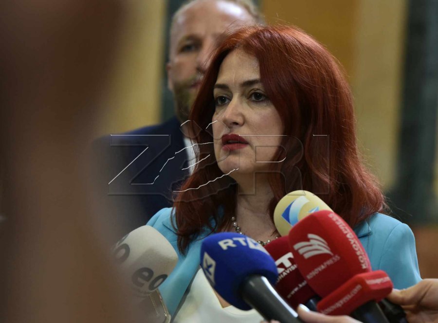 Eliza Hoxha për sjelljen e Kurteshit ndaj gazetarëve: Çfarë niveli, çfarë turpi