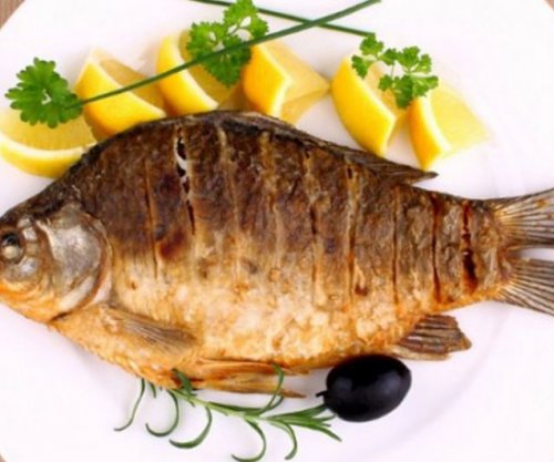 Arrat dhe peshku zgjasin jetën