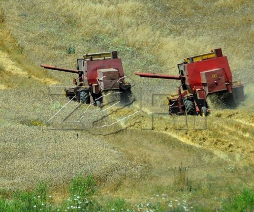Fermerët ankohen për vështirësi, thonë se mullinjtë nuk po pranojnë grurin