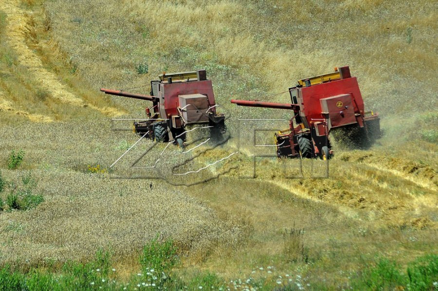Fermerët kanë nisur mbjelljet vjeshtore