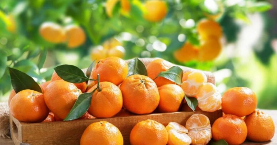 Zbuloni si të zgjidhni mandarinat më të ëmbla me këto truke të thjeshta