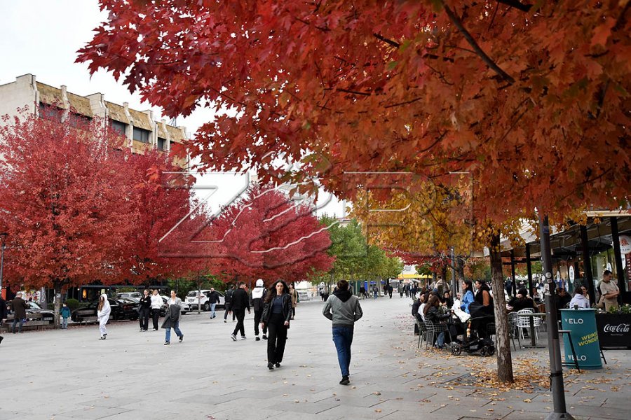 Sot temperaturat, deri në 20 gradë Celsius