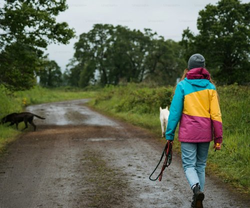 Vetëm 20 minuta në natyrë mund ta përmirësojnë shëndetin