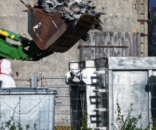 Rritet numri i rasteve të gripit të shpendëve në Gjermani