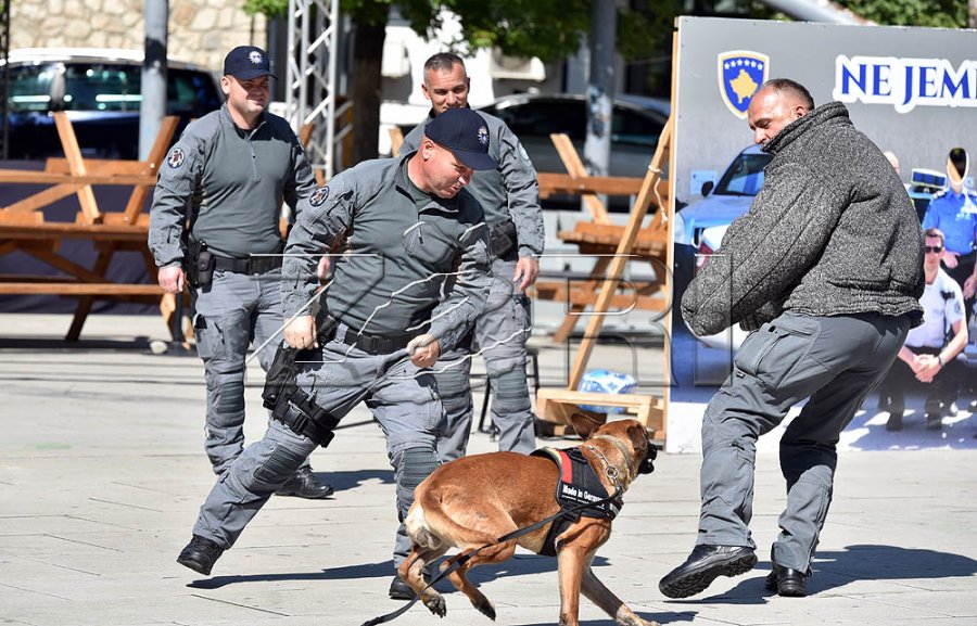 Policia e Kosovës shënon 26-vjetorin, Svelça: Një partner i besueshëm për gjeneratat e reja