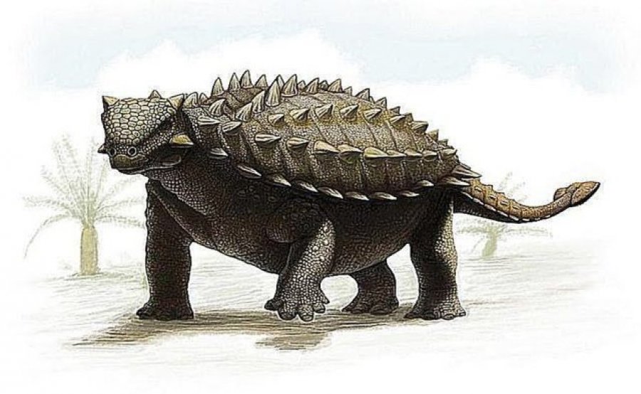 Zbulohet dinozauri i çuditshëm me “armaturë”