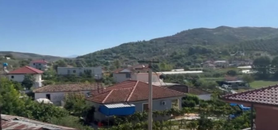Një fermeri në Lushnjë ia hëngri ujku 40 krerë dele dhe dhi