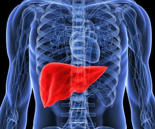 Inteligjenca artificiale parashikon rrezikun e kancerit të mëlçisë me saktësi të lartë