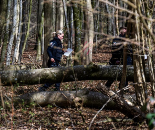 Tragjedi në Gjermani: Rrëzohet pema gjatë aktivitetit të Pashkëve, tre të vdekur