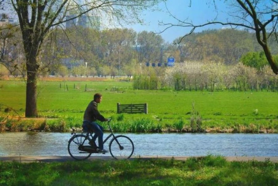 Ushtrimet fizike mund të jenë po aq efektive sa disa ilaçe, tregojnë studimet