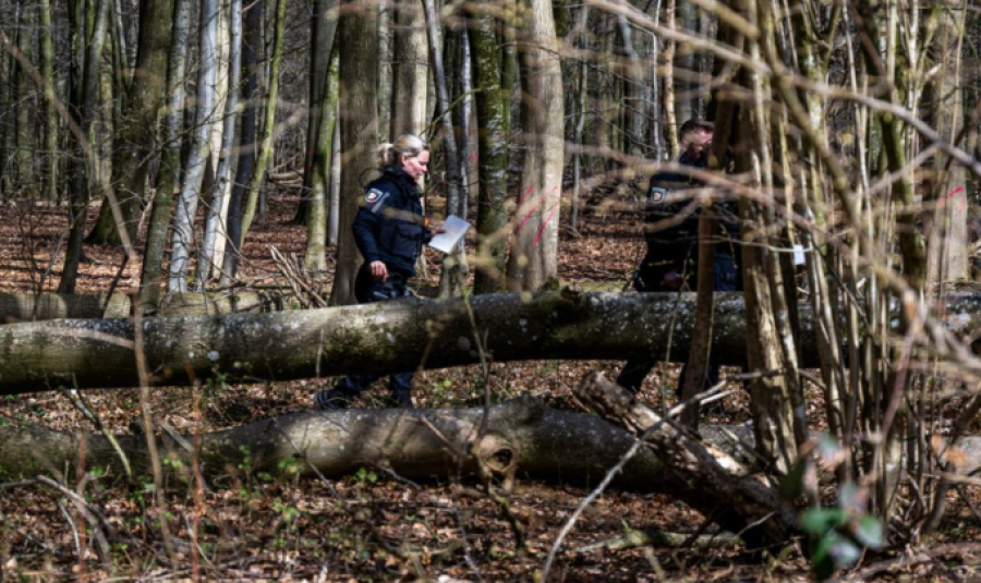 Tragjedi në Gjermani: Rrëzohet pema gjatë aktivitetit të Pashkëve, tre të vdekur