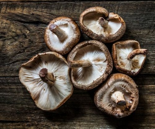 Kërpudhat reduktojnë rrezikun e kancerit më të zakonshëm te meshkujt