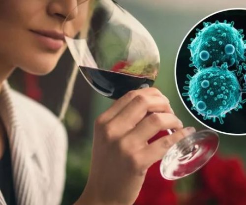 Edhe një gotë alkool në ditë mund të rrisë rrezikun e kancerit, sipas shkencës