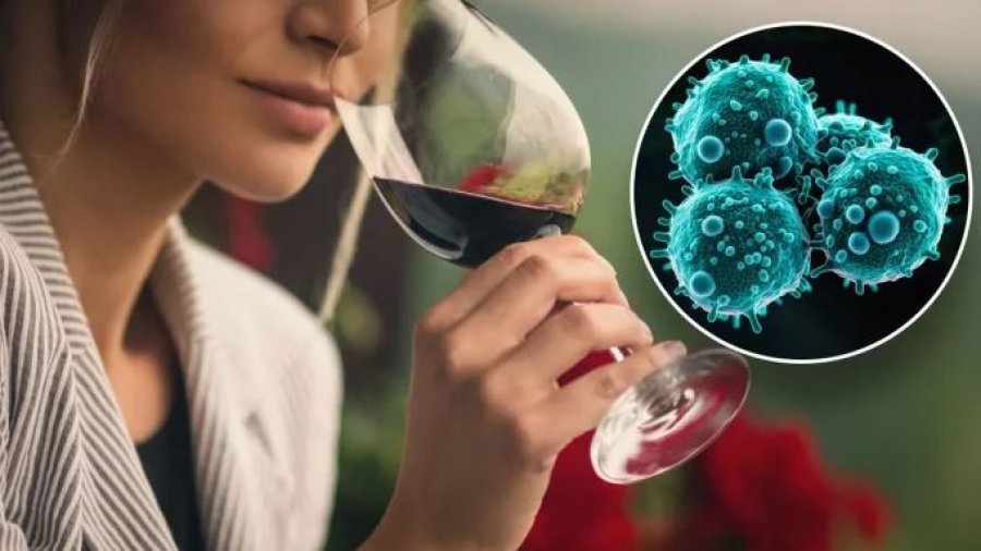 Edhe një gotë alkool në ditë mund të rrisë rrezikun e kancerit, sipas shkencës