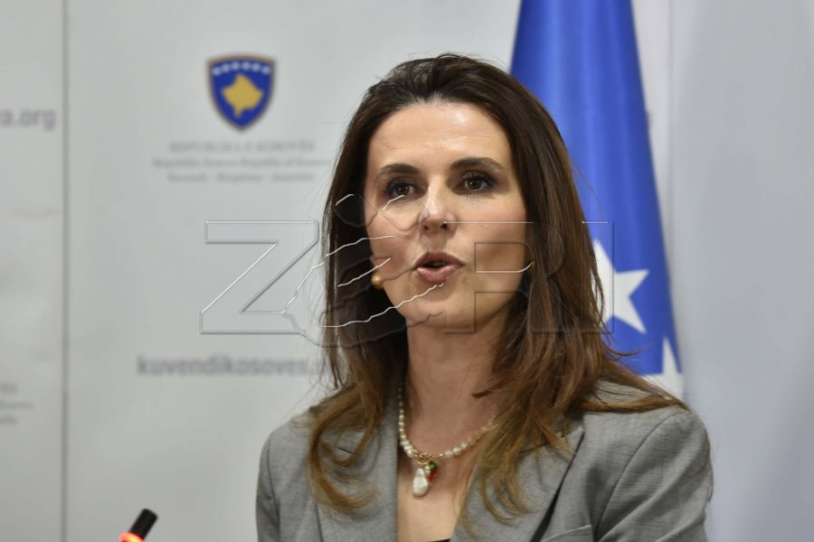 Çitaku tregon se a do ta dërgojë PDK-ja Projektligjin për konfiskimin e pasurisë në Kushtetuese