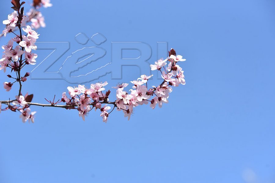 Moti sot me diell, temperatura deri në 23 gradë Celsius