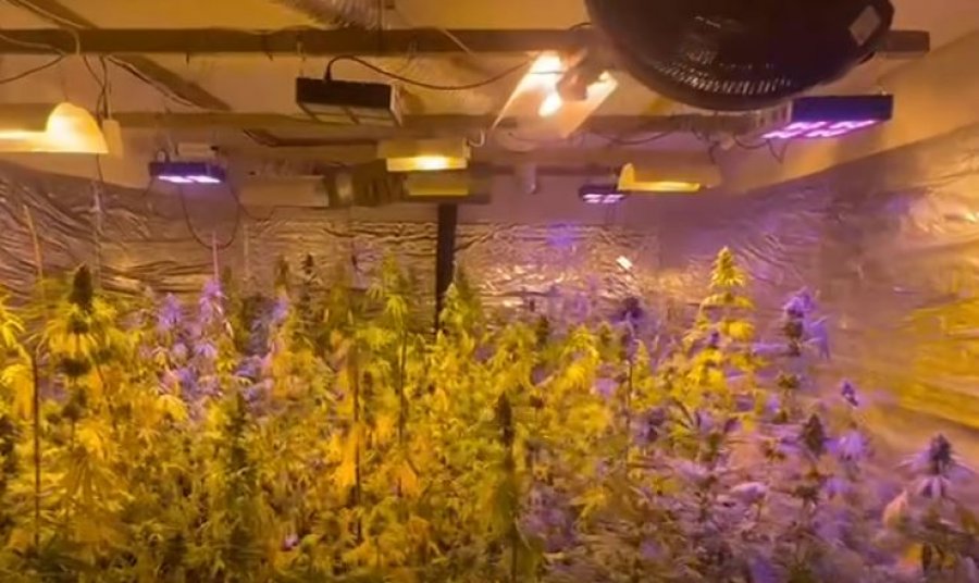 Zbulohet laboratori i drogës në Jabllanicë të Pejës, prokuroria me detaje të reja