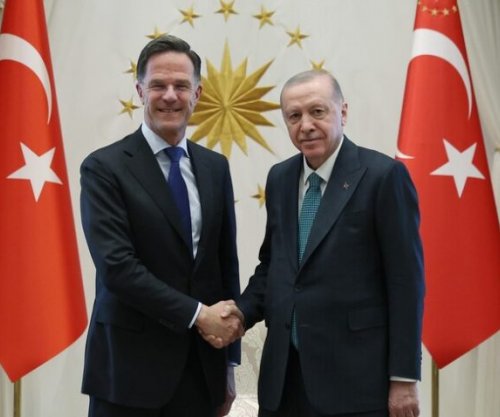 Erdogani pret Rutten, diskutojnë përgatitjet për samitin e Ankarasë