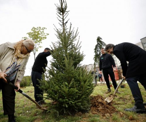 Rama: Mbjellja e rreth 100 kurorave në rrugën “Tirana” hap drejt gjelbërimit urban në Prishtinë