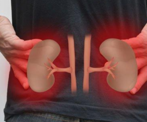 Mos e hani banane nëse keni problem me veshkat