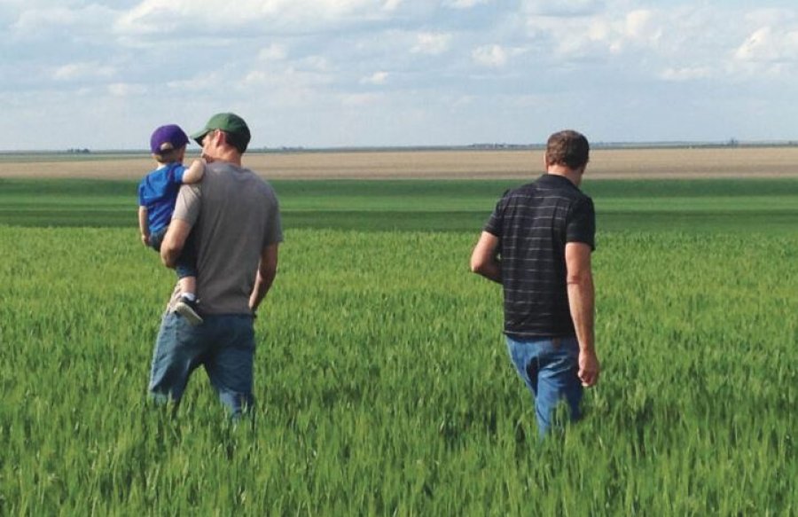 Ekspozimi ndaj pesticideve dhe rritja e kancerit kolorektal te të rinjtë