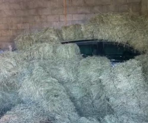 Autorët e vrasjes në Lezhë e fshehën veturën duke e mbuluar me bar