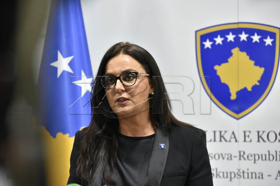 LDK-VV në bisedime, por pa ndarje postesh, Lushaku-Sadriu: Jemi në fazën fillestare