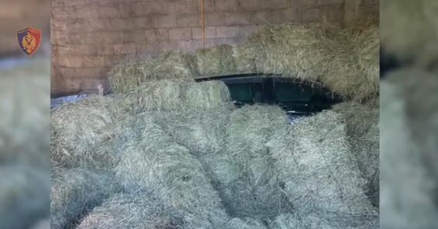 Autorët e vrasjes në Lezhë e fshehën veturën duke e mbuluar me bar