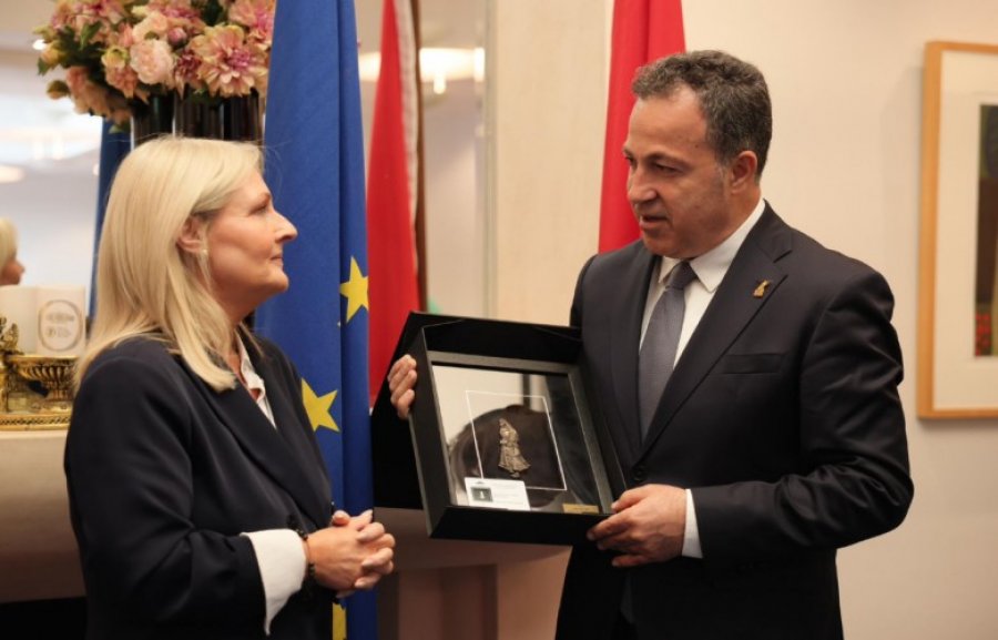 Peleshi në Irlandë, merr mbështetje për anëtarësimin e Shqipërisë në BE