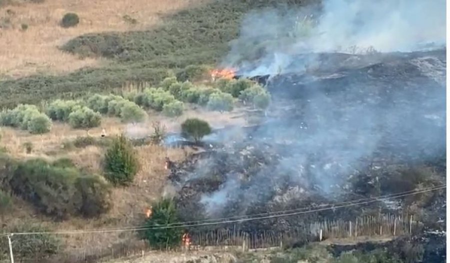 Zjarr në ullishtet e Panajasë në Vlorë, ndërhyjnë zjarrfikësit