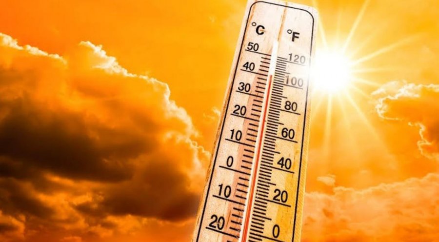 Gjermani, rreth 10 mijë të vdekur nga vapa
